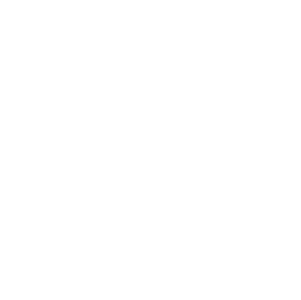 logo_thales